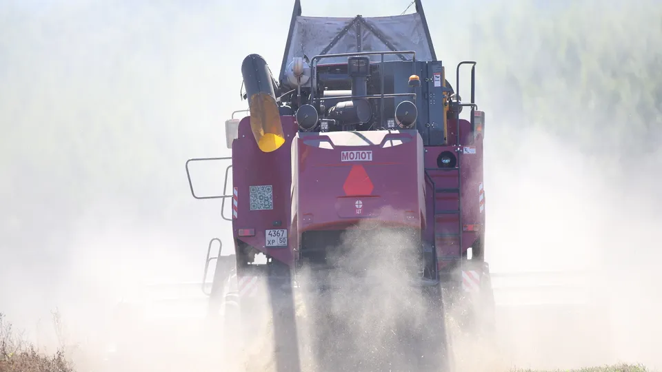 Фото: пресс-служба Администрации г. о. Кашира