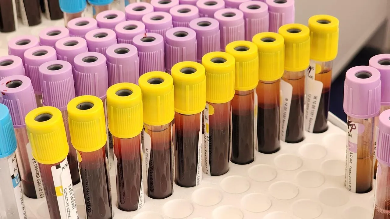 REGIONS/Валерия Тингаева