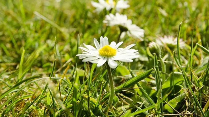 фото:.freepik.com