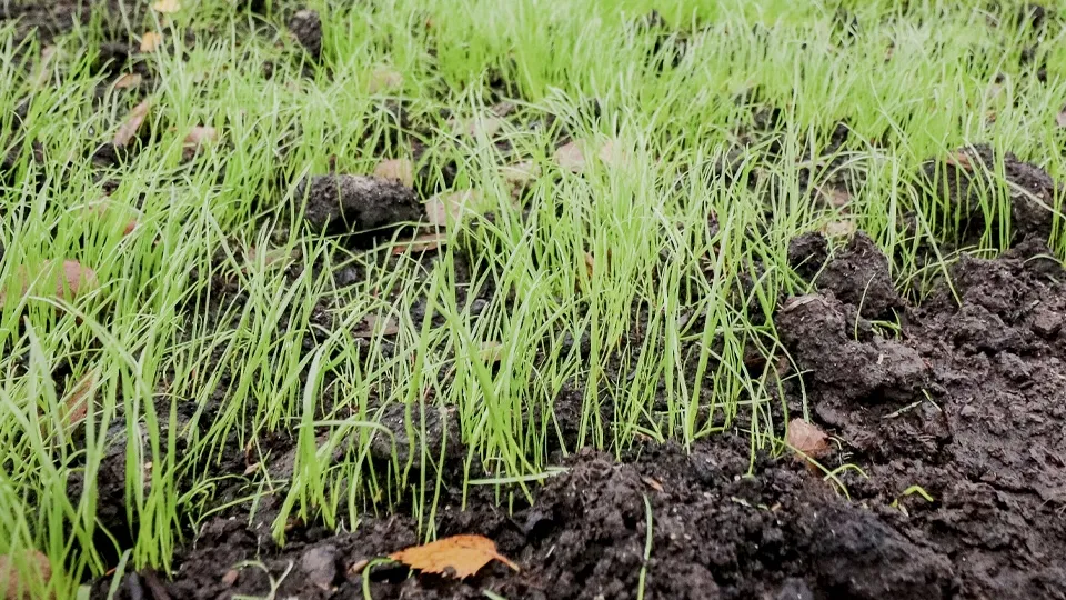 Фото: МедиаБанк Подмосковья/Данила Кирьянов