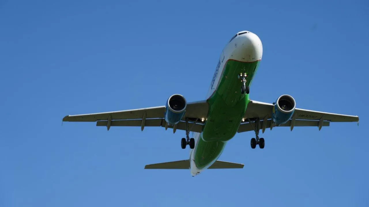 REGIONS/Дарина Левкина