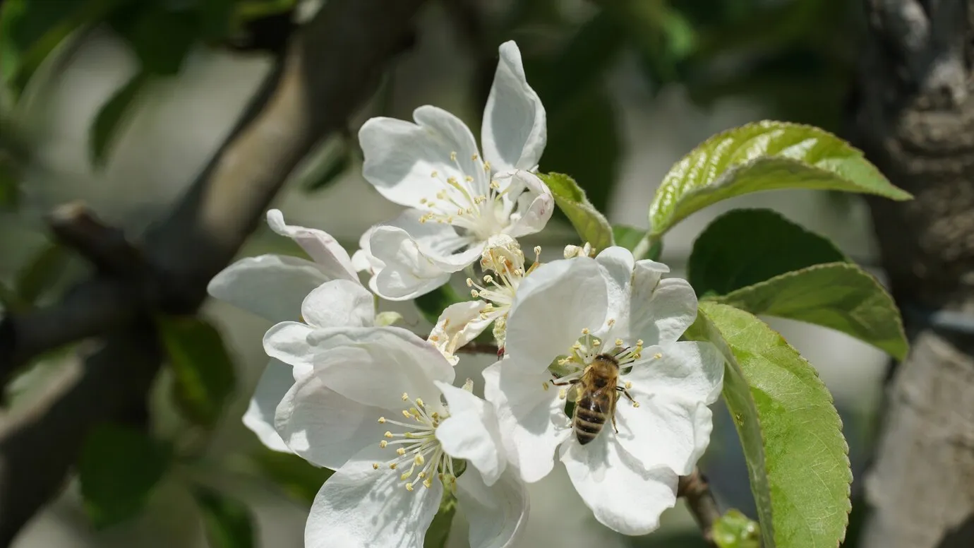 Фото: freepik.com