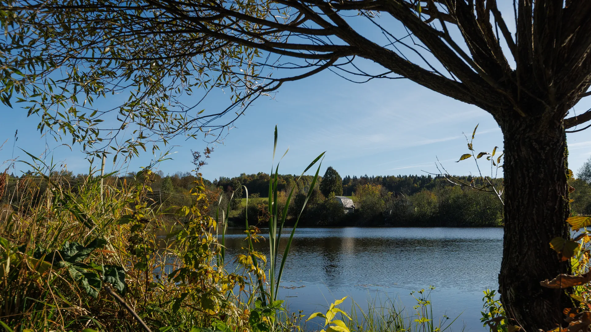 Мурановский пруд на реке Талица в деревне Ашукино округа Пушкинский