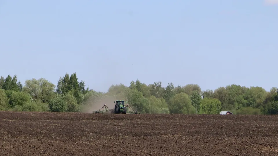 Фото: REGIONS/Ирина Матвеева