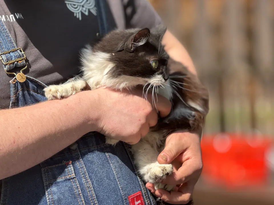 Фото: МедиаБанк Подмосковья/Виктория Фортуна