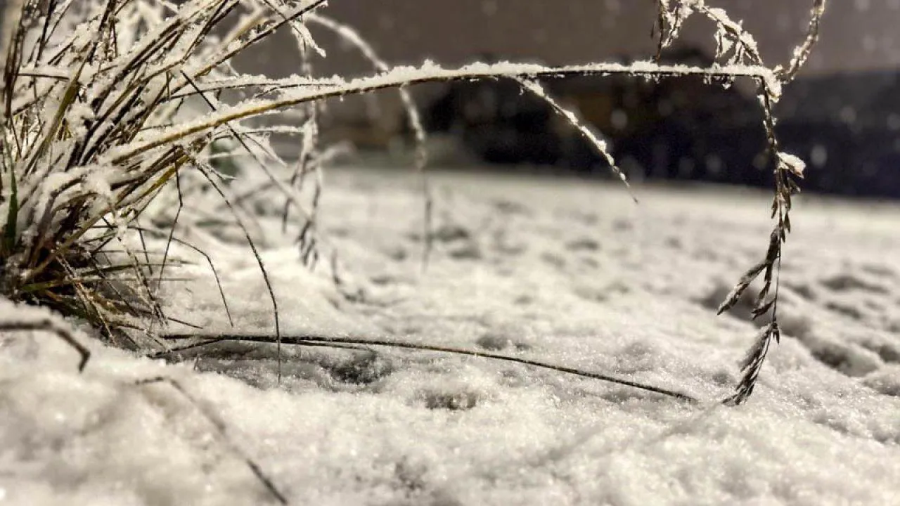 REGIONS/Евгения Макаренко