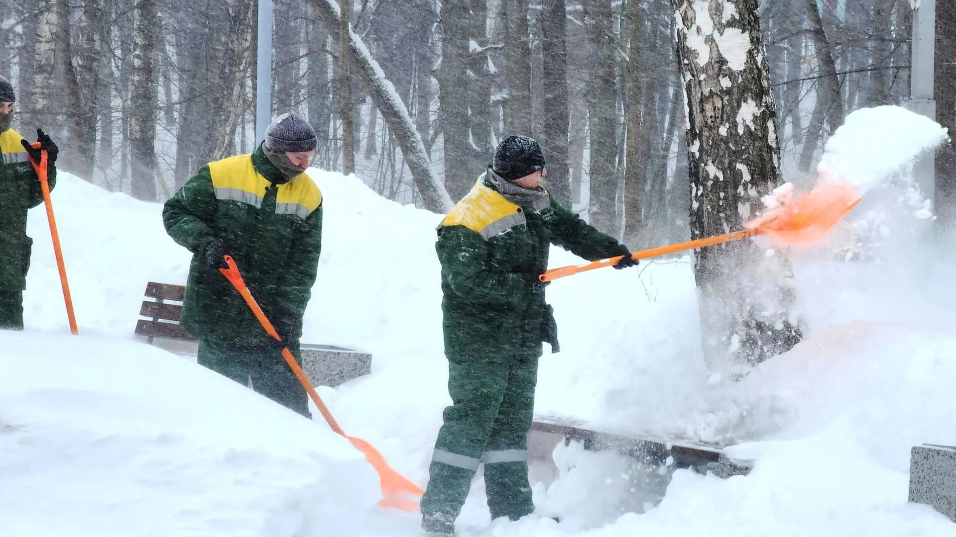 Медиабанк Подмосковья/Иван Дубров