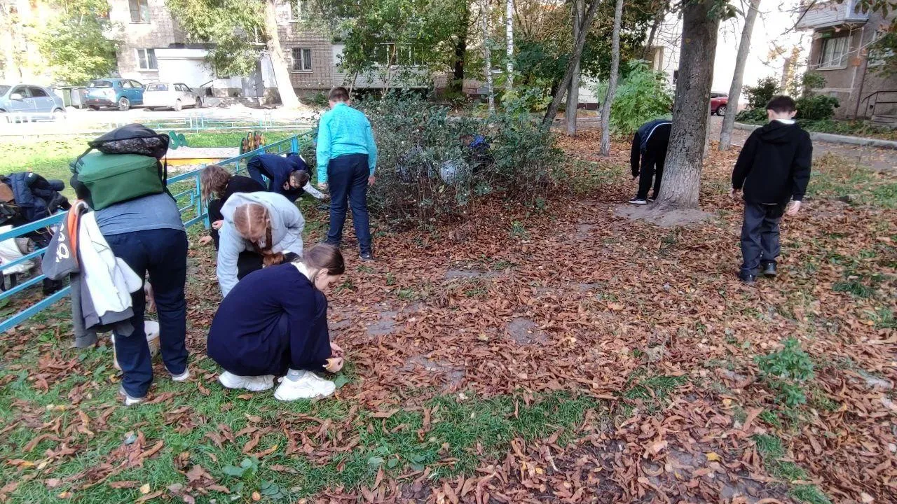 Комитет лесного хозяйства Московской области
