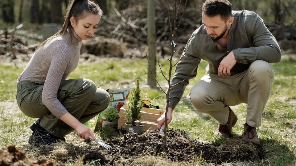 Фото: freepik.com