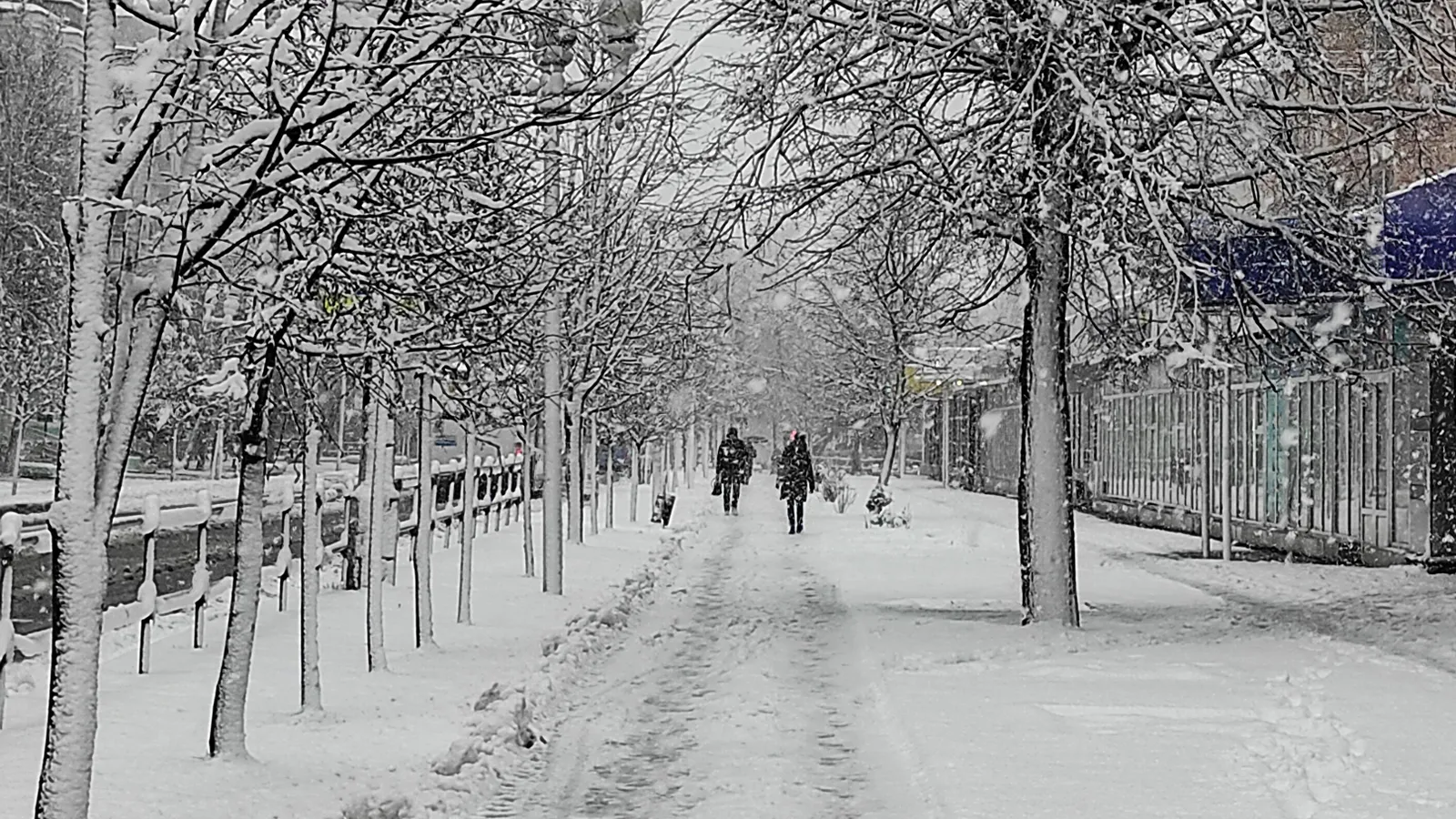 Фото: Антон Кондратюк