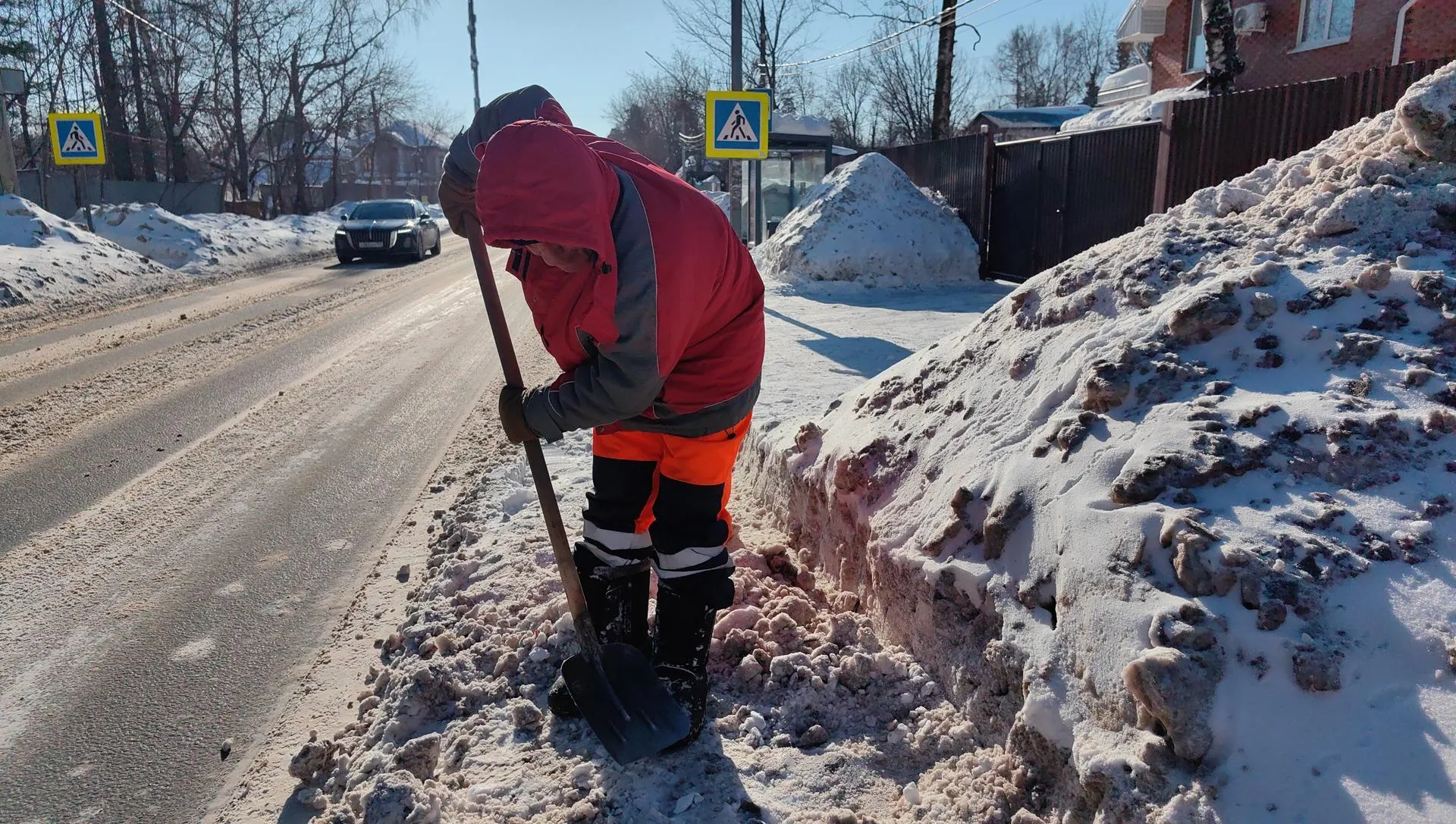 Елена Катасонова