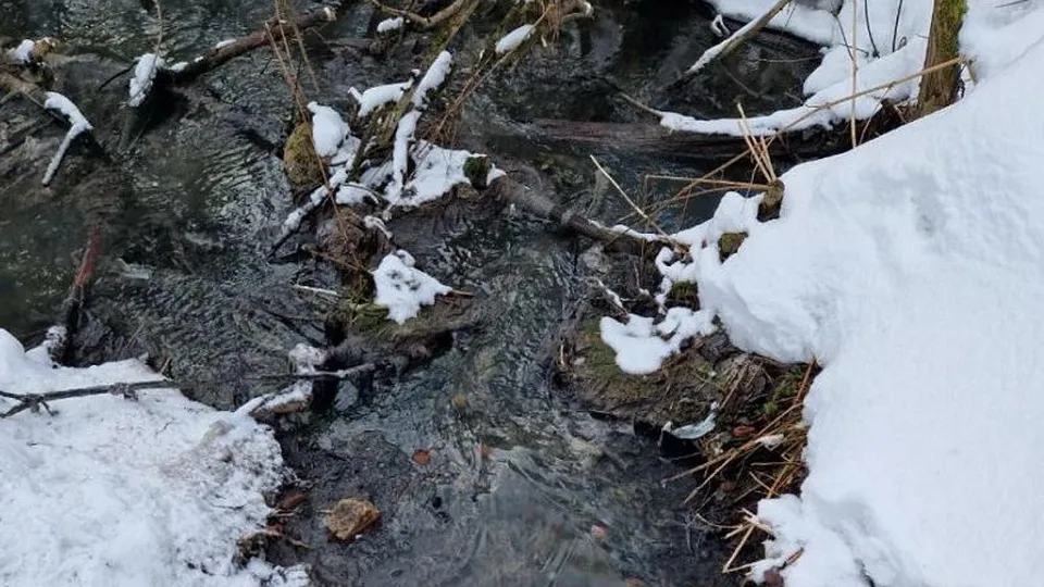 Фото: Министерство экологии и природопользования Московской области