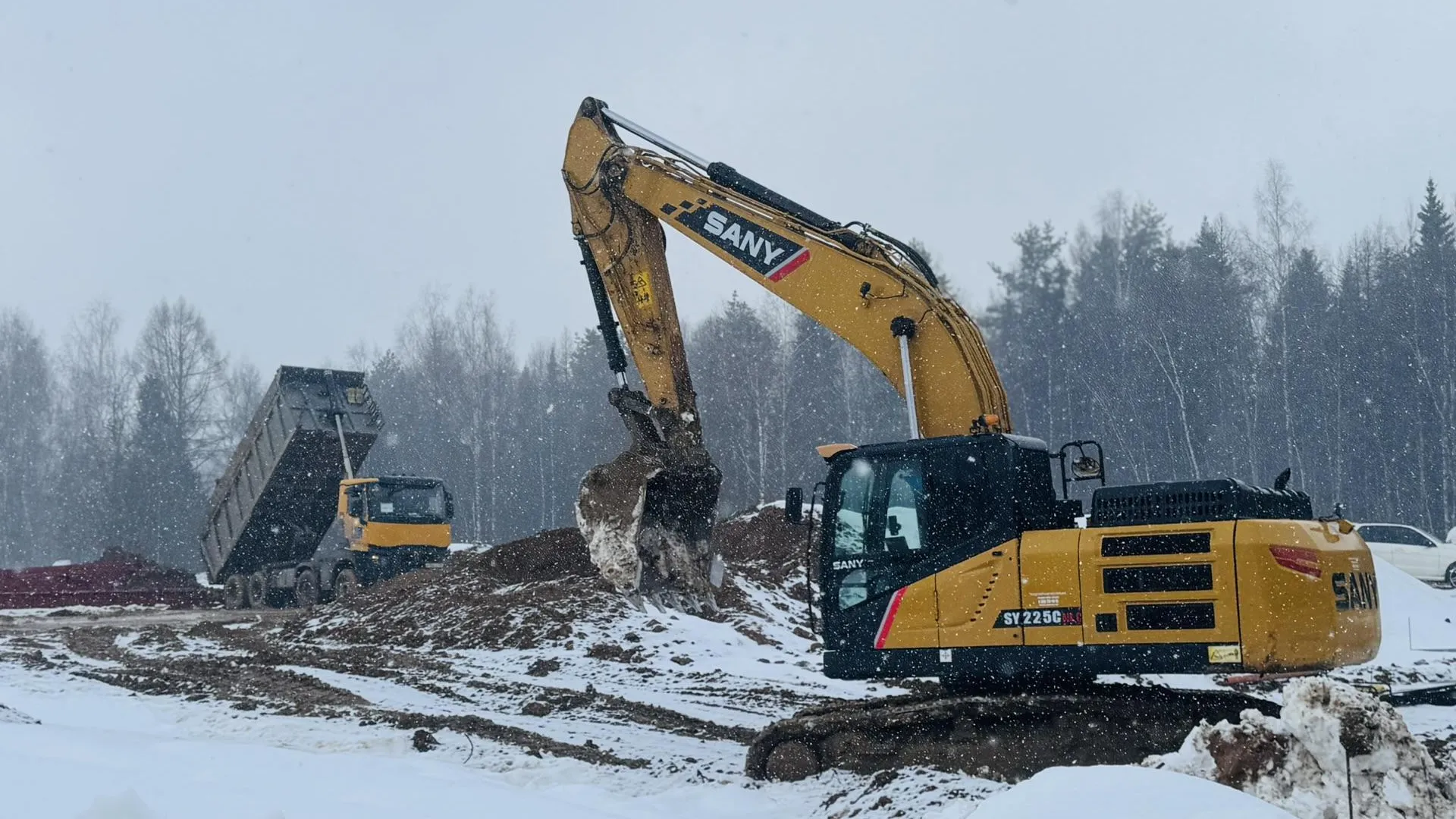 REGIONS/Татьяна Сташенко