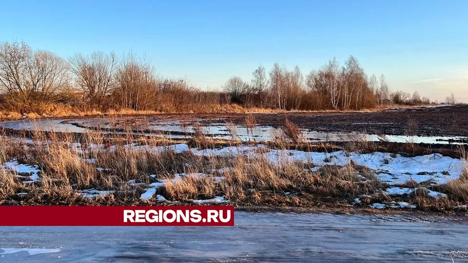 Фото: REGIONS/Елена Фурман