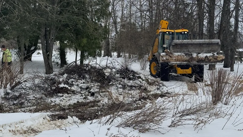 Фото: Татьяна Рунова