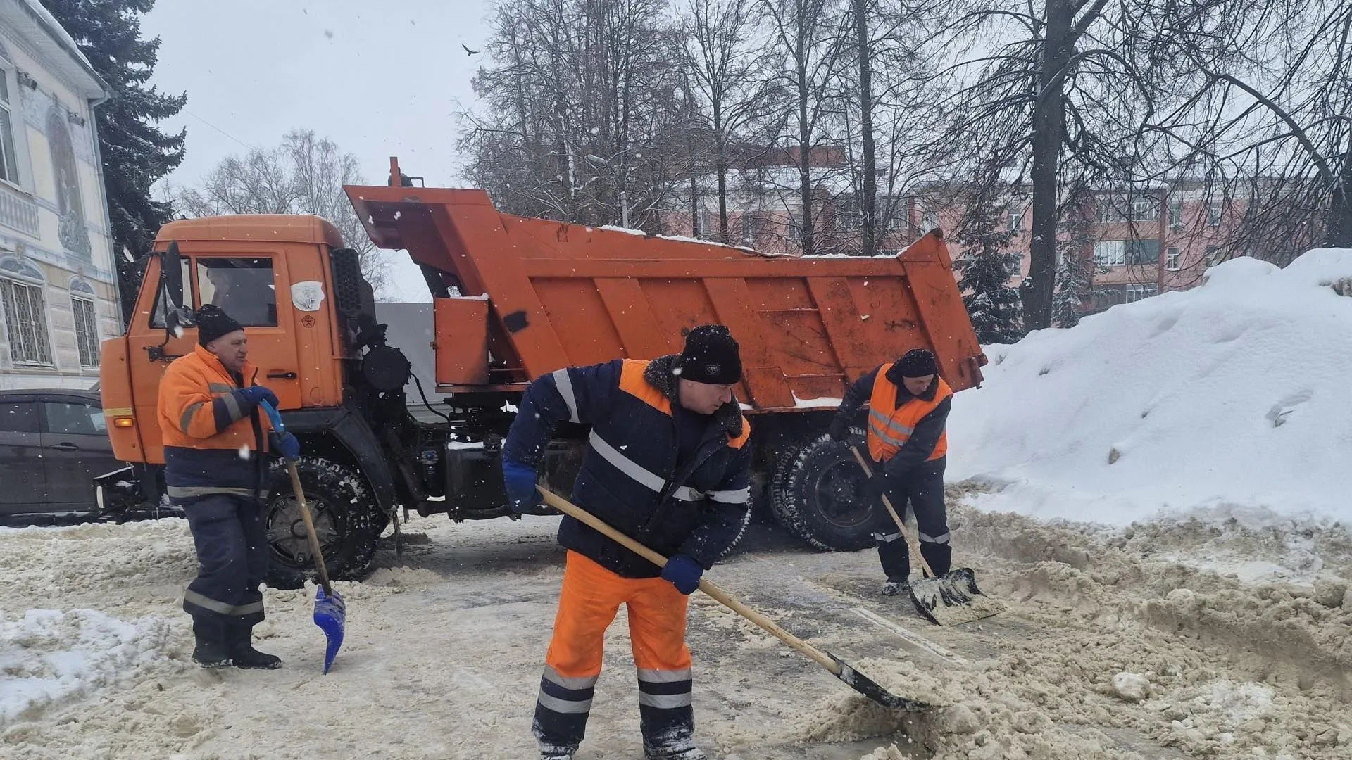 REGIONS/Ольга Шаронова