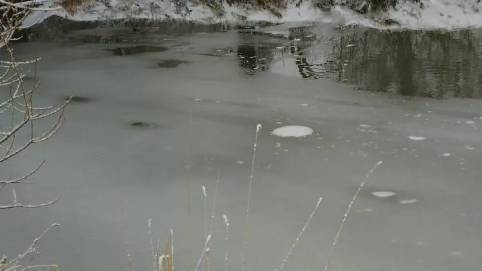 Фото: Администрация м.о. Чехов