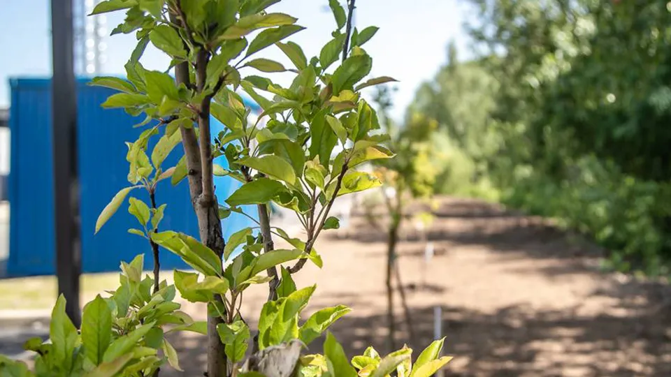 Фото: пресс-служба администрации Одинцовского г.о.