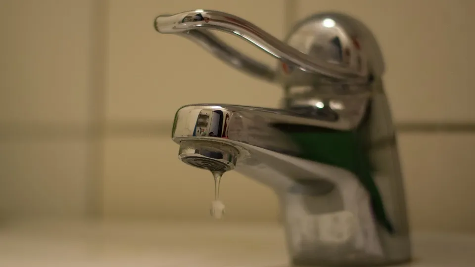 Фото: pxhere.com