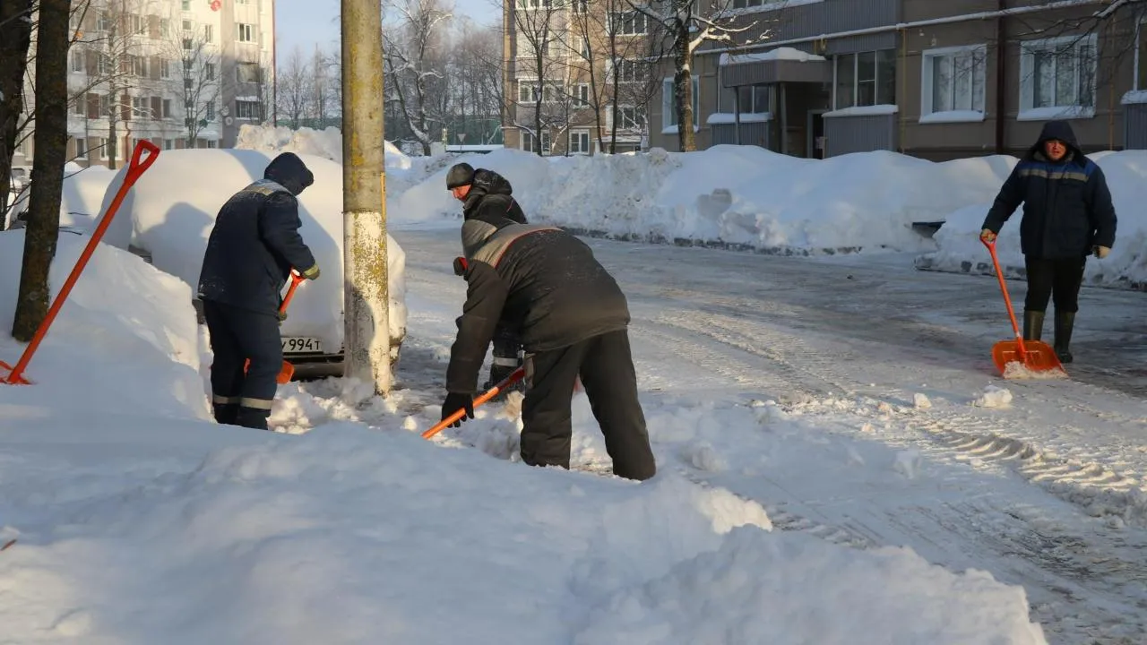 администрация м.о. Шаховская