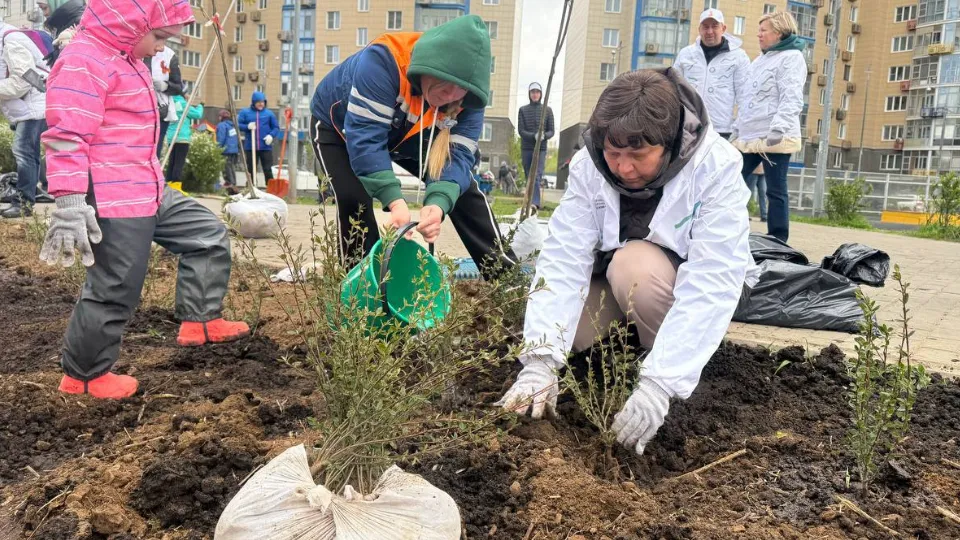 Фото: пресс-служба администрации г.о. Красногорск