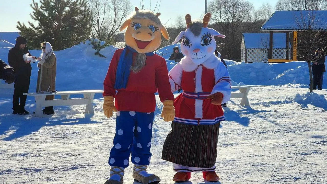 МедиаБанк Подмосковья/Анна Шолохова