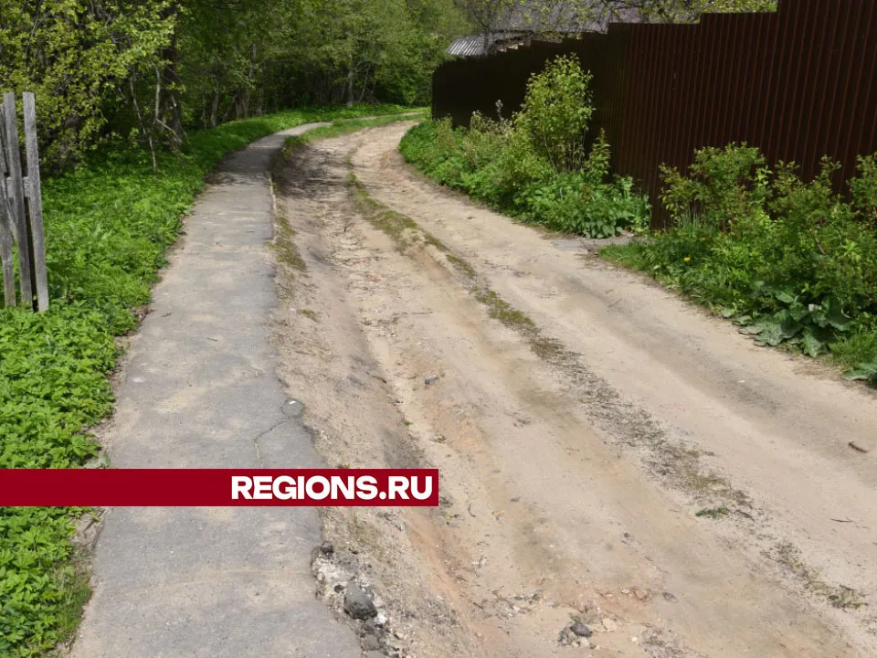 Фото: Владимир Останин