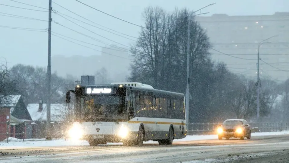 Фото: пресс-служба губернатора и правительства Московской области