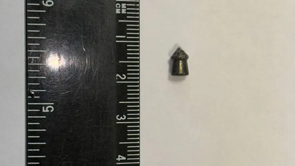 Фото: t.me/mocomd_lub