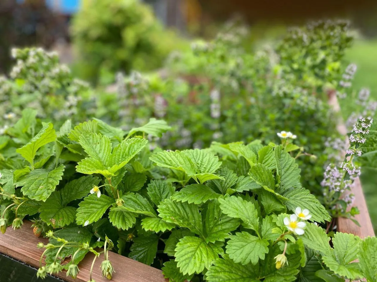 Министерство культуры и туризма МО