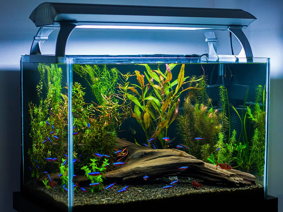 Фото: istockphoto.com/Diego Chaves