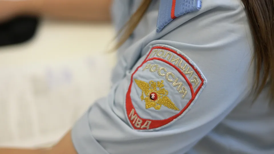 Фото: РИА Новости/Александр Кряжев