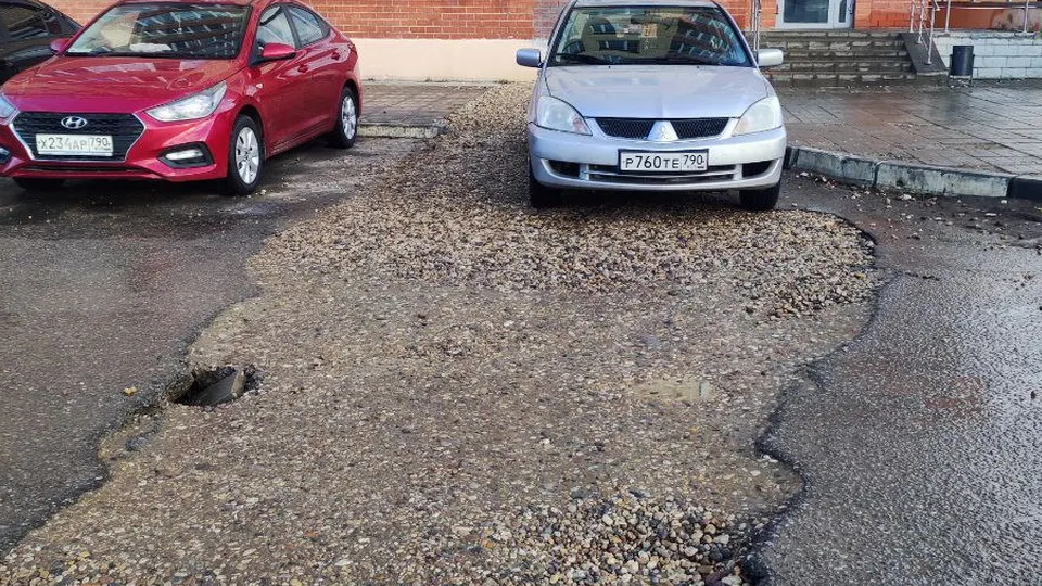 Фото: МЦУР Дмитровского муниципального округа