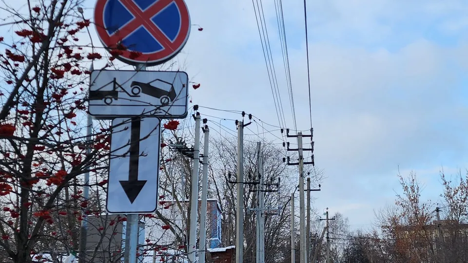 Фото: МедиаБанк Подмосковья/Ольга Антонова