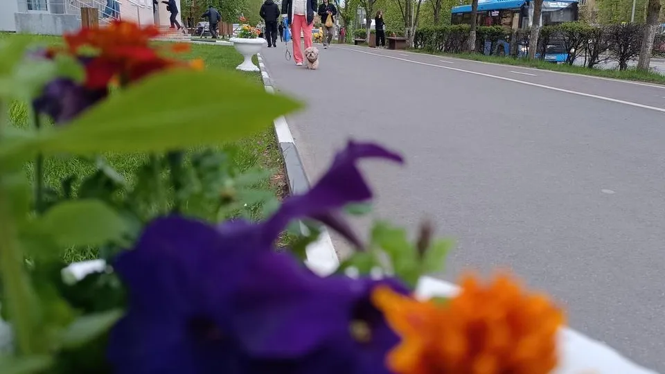 Фото: Екатерина Дятловская