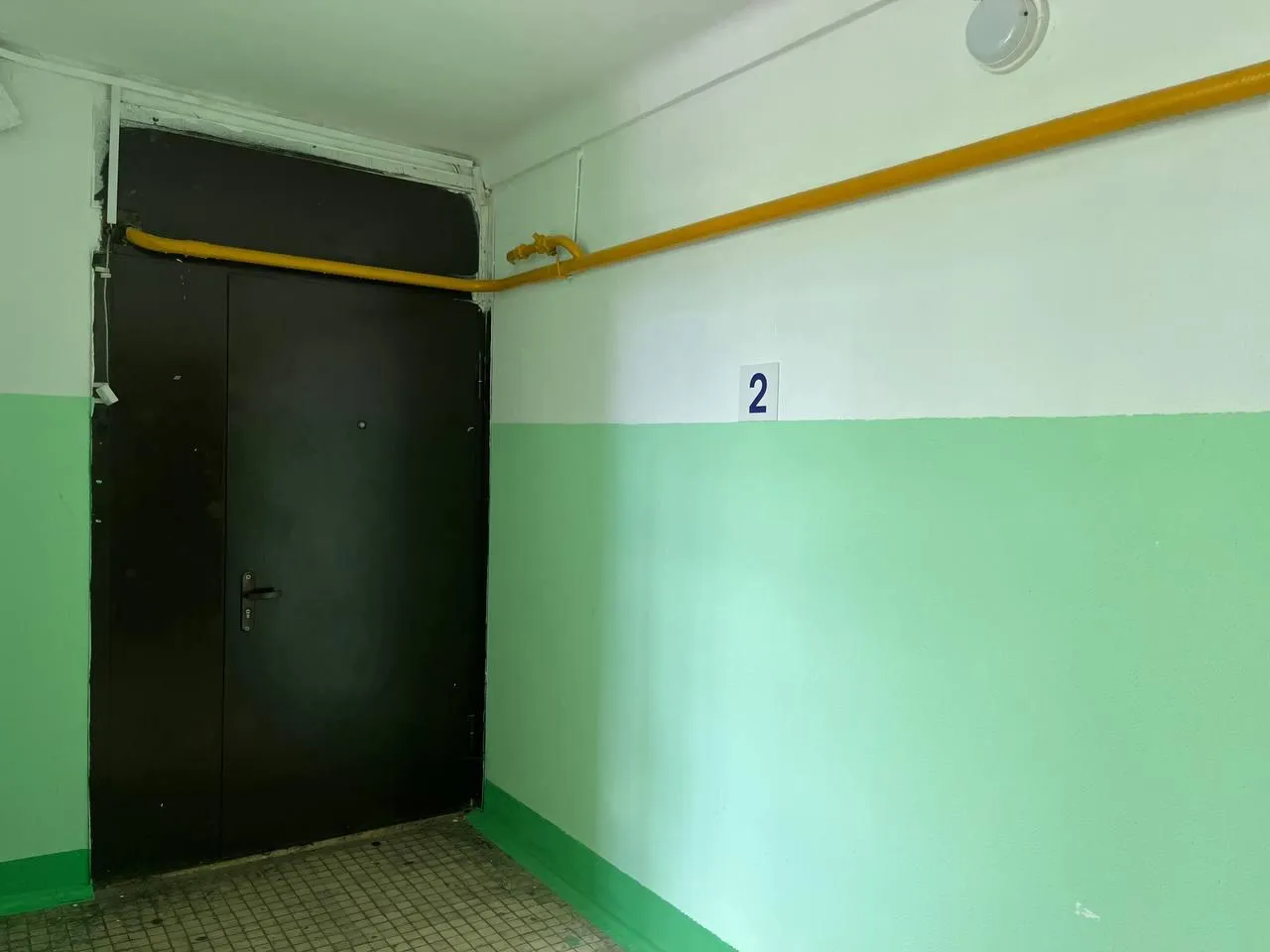 Фото: Раменский медиацентр