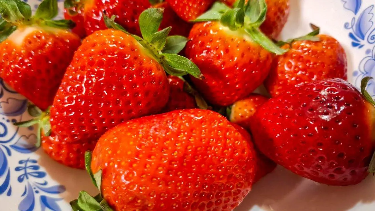 REGIONS/Юлия Габбасова