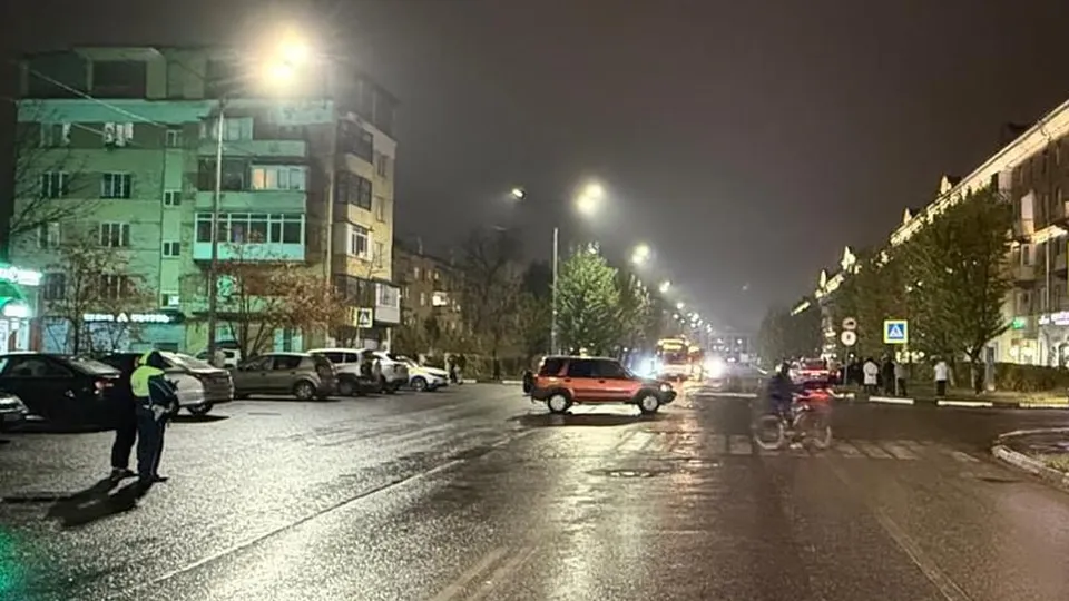 Фото: t.me/gumvd50/4478