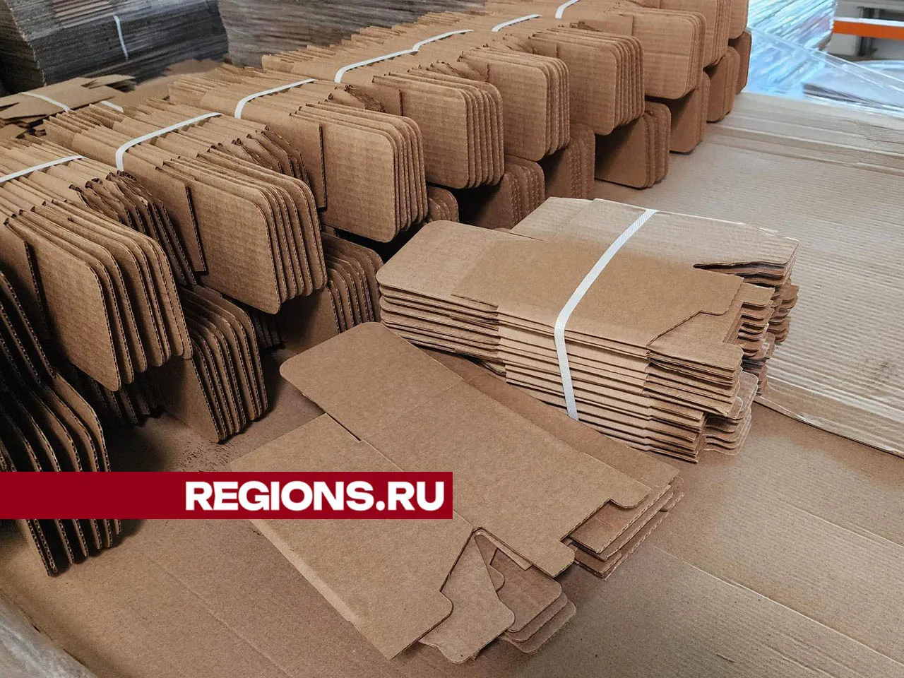 Фото: Валерия Тингаева