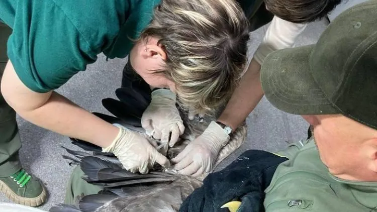 Фото: социальные сети.