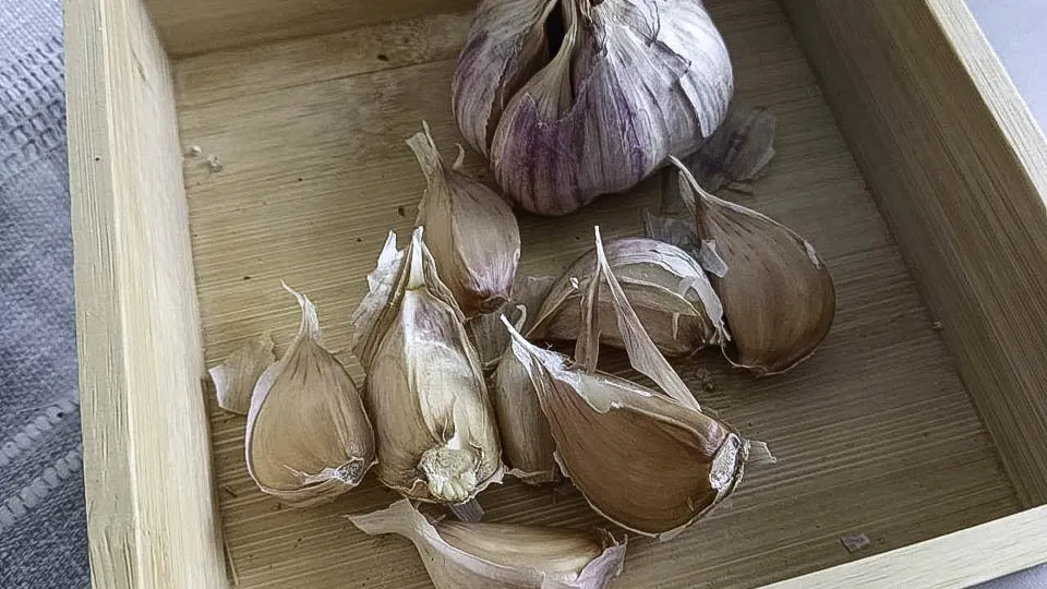 Фото: REGIONS/Ирина Горбачева