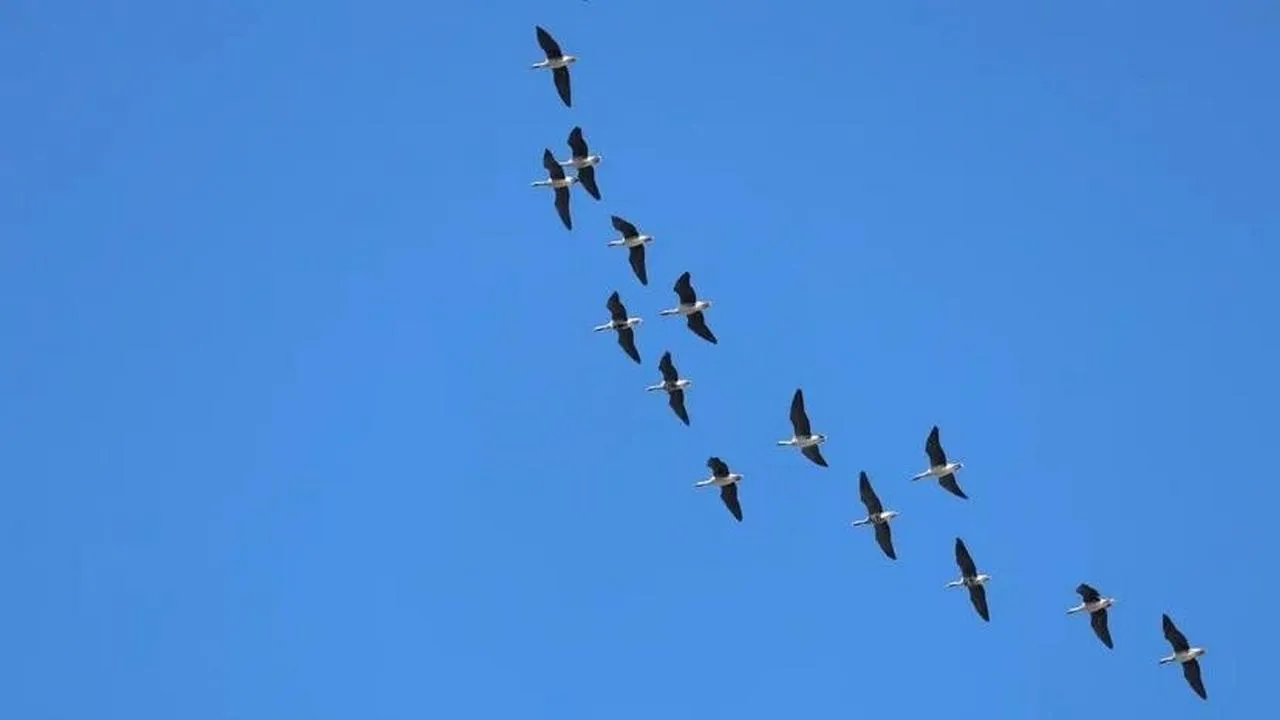 национальный парк «Лосиный Остров»