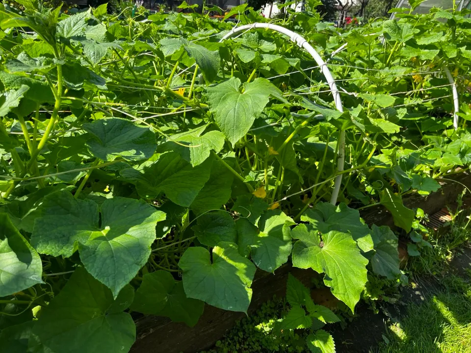 Фото: Галина Милых