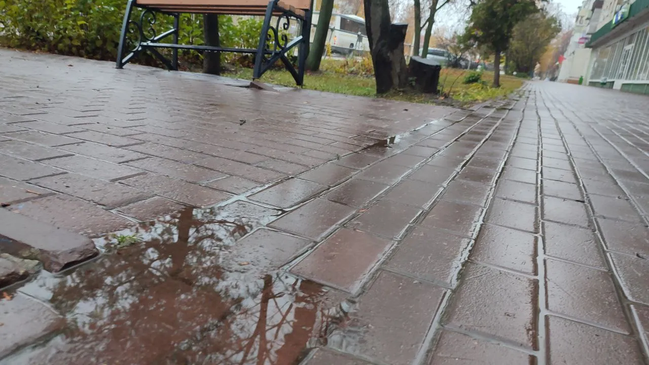 Фото: REGIONS/Елена Забелина