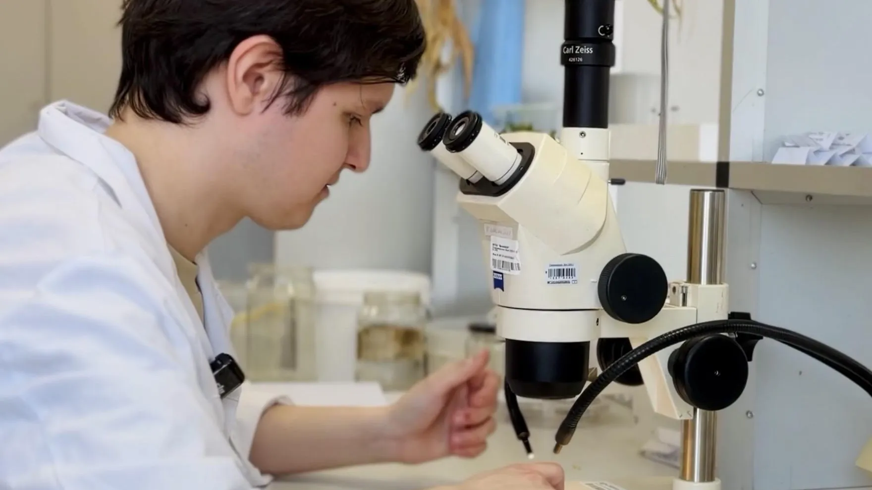 МедиаБанк Подмосковья/Ольга Стаферова