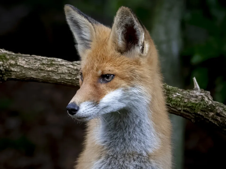 &nbsp; Фото: istockphoto.com