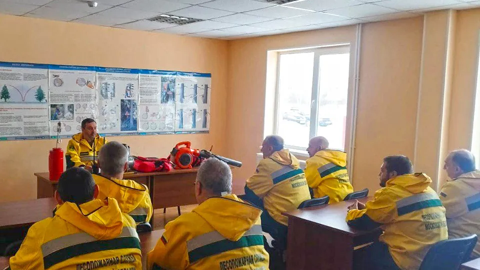 Фото: Комитет лесного хозяйства Московской области