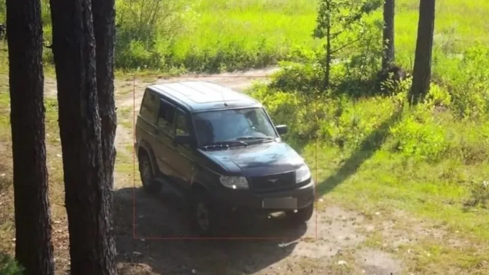 Фото: Комитет лесного хозяйства Московской области