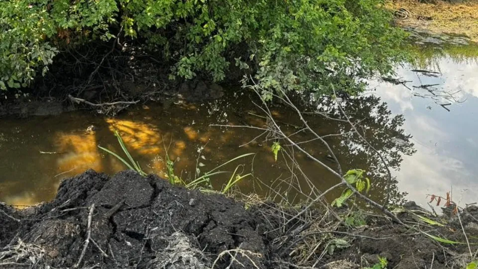 Фото: Минэкологии МО