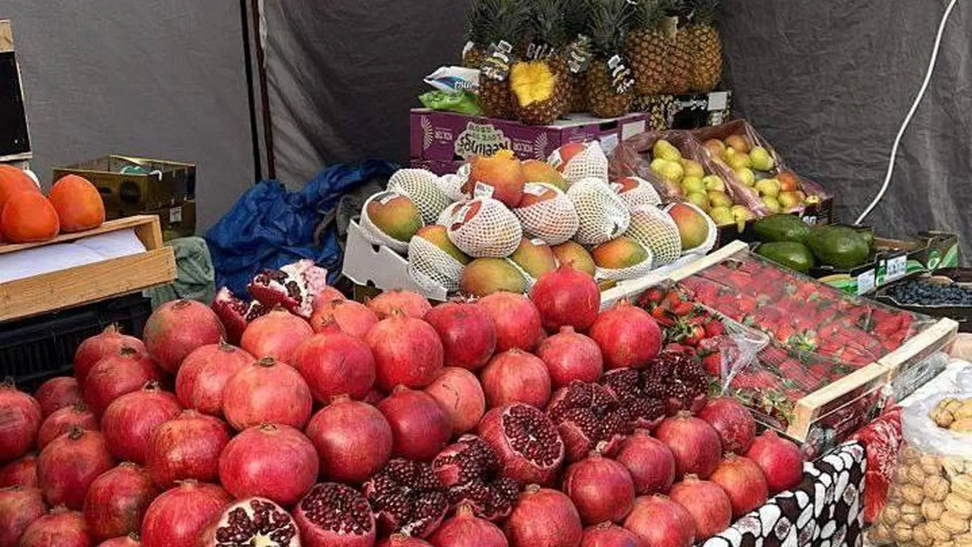 Фото:  пресс-служба министерства сельского хозяйства и продовольствия Московской области